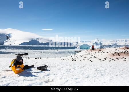 Touristen in der Gentoo Pinguin Kolonie, Mikkleson Harbour, Antarktis Stockfoto