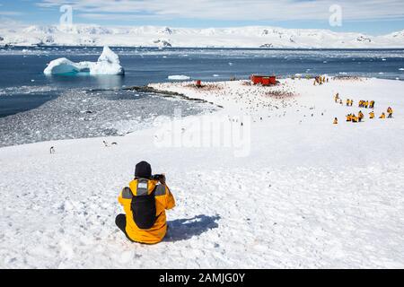 Touristen in der Gentoo Pinguin Kolonie, Mikkleson Harbour, Antarktis Stockfoto