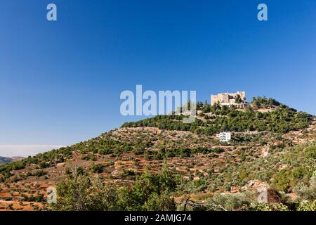 Burg Ajloun, Bergfestung, Ajloun, auch Ajlun, Hochland, Jordanien, Naher Osten, Asien Stockfoto