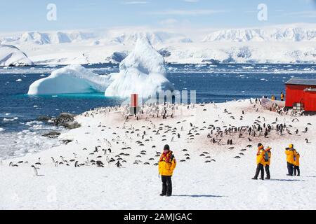 Touristen in der Gentoo Pinguin Kolonie, Mikkleson Harbour, Antarktis Stockfoto