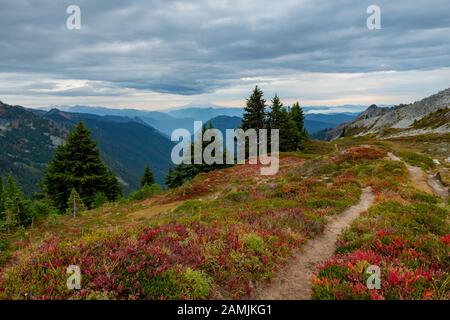 Der Trail Schlängelt Sich Durch die Tatoosh Range in der Washington Wilderness Stockfoto