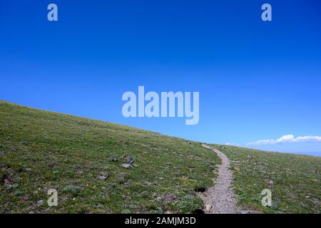 Der Weg schlängelt sich bergauf durch die Sommerwiese in Wyoming Stockfoto