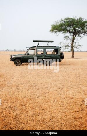 Jeep Cars Safari-Truck auf dem goldenen Rasenplatz des Serengeti Savanna Forstes in Tansania - Afrikanische Safari Wildlife Watching Trip Stockfoto