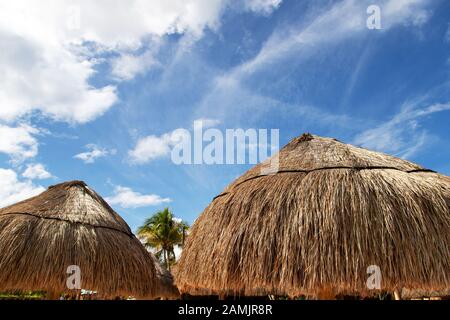 Nahaufnahme des Sonnenschirms aus Kokospalmblatt mit blauem Himmel und Kopierraum an einem Strand in Cancun in Mexiko. Stockfoto