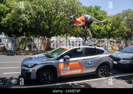 Adelaide, Australien. Januar 2020. Ein gigantisches Känguru, das mit einem Fahrrad fährt, wird auf einem offiziellen Tourwagen zur Vorbereitung der Tour Down Under Cycliste angezeigt, die am 21. Januar in und um Adelaide, South Australia, beginnt und 17 Teams der Welt der Radfahrer umfasst. Credit: Amer Ghazzal/Alamy Live News Stockfoto