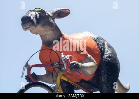 Adelaide, Australien. Januar 2020. Ein gigantisches Känguru, das mit einem Fahrrad fährt, wird auf einem offiziellen Tourwagen zur Vorbereitung der Tour Down Under Cycliste angezeigt, die am 21. Januar in und um Adelaide, South Australia, beginnt und 17 Teams der Welt der Radfahrer umfasst. Credit: Amer Ghazzal/Alamy Live News Stockfoto