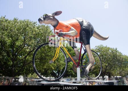 Adelaide, Australien. Januar 2020. Ein gigantisches Känguru, das mit einem Fahrrad fährt, wird auf einem offiziellen Tourwagen zur Vorbereitung der Tour Down Under Cycliste angezeigt, die am 21. Januar in und um Adelaide, South Australia, beginnt und 17 Teams der Welt der Radfahrer umfasst. Credit: Amer Ghazzal/Alamy Live News Stockfoto