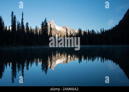 Berge spiegelten sich in den klaren Gewässern im Lake O'Hara, Yoho-Nationalpark, Kanada, wider Stockfoto