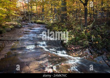 Bäche mit verfallenen Herbstlaub in Mont-Tremblant, Quebec, Kanada Stockfoto