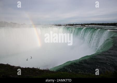 Vögel, die in Richtung Regenbogen an den Niagarafällen fliegen Stockfoto