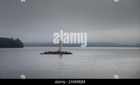 Nebel auf einer der kleinen Inseln mit einem winzigen Leuchtturm der Thousand Islands an der Grenze zwischen Kanada und den USA im Sankt-Lorenz-Strom Stockfoto