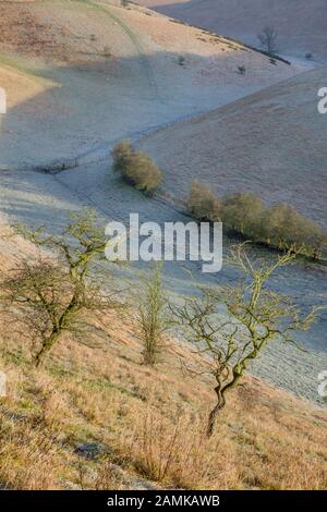 Yorkshire Wolds trockene Kreide Dale Stockfoto