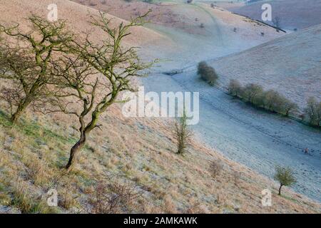 Yorkshire Wolds trockene Kreide Dale Stockfoto