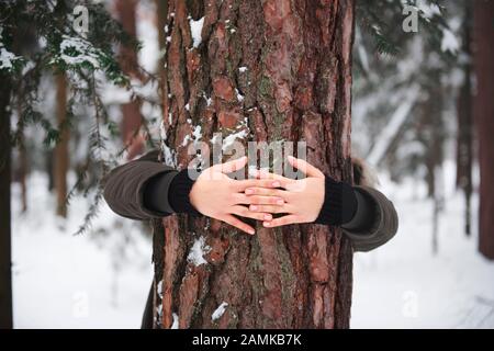 Nahaufnahme der Hände der Frau, die den Baum umarmte Stockfoto