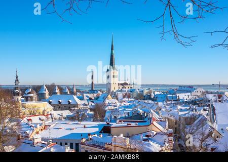 Blick auf die verschneiten Dächer der Altstadt. Tallinn, Estland Stockfoto