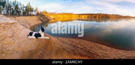 Der Hund liegt an einem sandigen Hang an der Bank eines Sandbruchs.Panorama. Stockfoto