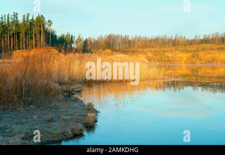 Trockenes Schilf im Wasser am Ufer eines Sandbruchs. Leningrader Region. Russland. Stockfoto