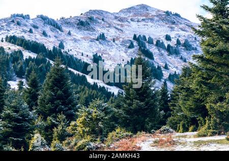 Schöne Winterlandschaft mit den Berghang, die Tannen von Schnee bedeckt. Stockfoto