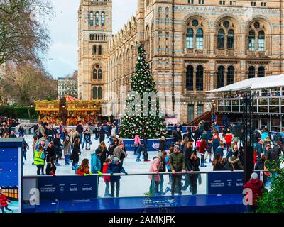 London, Großbritannien/Europa; 21/12/2019: Eisbahn und Weihnachtsbaum im Natural History Museum in London. Menschen, die an Weihnachten Schlittschuhlaufen genießen, vor o Stockfoto