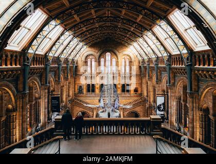 London, Großbritannien/Europa; 21/12/2019: Blaues Walskelett in der Haupthalle des Natural History Museum of London Stockfoto