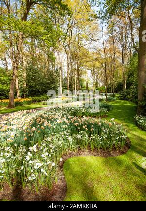 Blick auf schöne Keukenhof Park flower Rasen unter blauem Himmel während der jährlichen Ausstellung Stockfoto