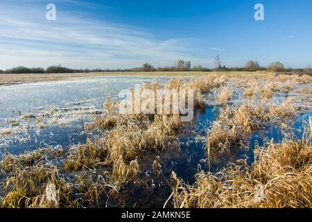 Gefrorenes Wasser auf einer grasigen Wiese und blauer Himmel in Nowiny, Polen Stockfoto