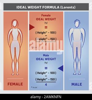 Ideale Gewichts-Formel-Illustration - Silhouetten für Frauen und Männer Stock Vektor
