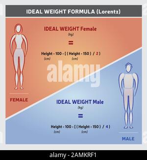 Ideale Gewichts-Formel-Illustration - Silhouetten für Frauen und Männer Stock Vektor