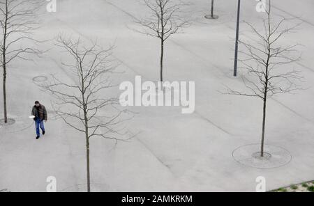 Kranke Bäume am Klaus-Mann-Platz im Münchner Arnulfpark. [Automatisierte Übersetzung] Stockfoto