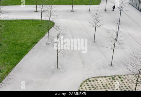 Kranke Bäume am Klaus-Mann-Platz im Münchner Arnulfpark. [Automatisierte Übersetzung] Stockfoto