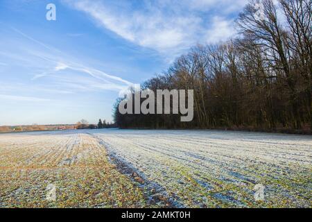 Schnee auf Feldern, Wald und blauem Himmel Stockfoto