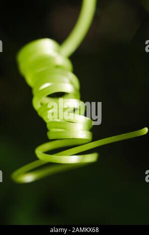 Beim Klettern entsteht ein abstraktes Gemälde Stockfoto