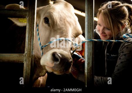 Kuhfitter und Jungbauerin Nicole Nägele stilt für eine Tierschau eine Kuh aus ihrer Heimatscheune in Seeg im Ostallbräu. Im Bild schütt sie ihren Kopf. [Automatisierte Übersetzung] Stockfoto
