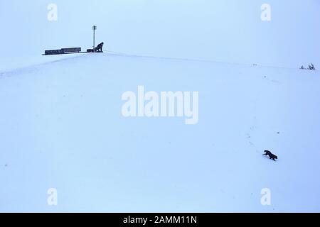 Verschneite Landschaft auf dem ehemaligen Buga-Gelände in Messestadt-Riem. Im linken Bild macht ein Jogger Push-ups, rechts läuft ein Hund durch den Schnee. [Automatisierte Übersetzung] Stockfoto
