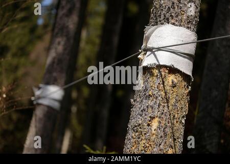 Die Umgebung des Schlosshotels Elmau wird für den G7-Gipfel im Juni 2015 vorbereitet. Hier die Aufhängung des Sicherheitszauns. [Automatisierte Übersetzung] Stockfoto