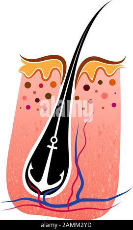 Starkes Logo für Haartransplantation Stockfoto