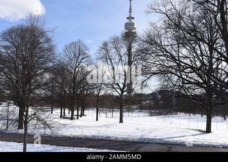 Der Lindenhain im Münchner Olympiapark. Hier soll die Gedenkstätte für die Opfer des Attentats bei den Olympischen Spielen 1972 errichtet werden. Im Hintergrund der Olympiaturm. [Automatisierte Übersetzung] Stockfoto