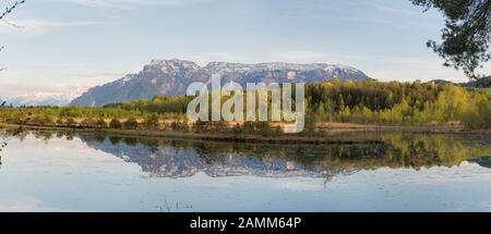 Renaturisiertes Gebiet im Ainringer Moor mit Ulrichshögl im Hintergrund und Enten am Freiwasser, in diesem Moor wurde Torf professionell abgebaut und hauptsächlich zu Gartenprodukten verarbeitet, Ainring im Berchtesgadener Land, Rupertiwinkel, Oberbayern, Deutschland [automatisierte Übersetzung] Stockfoto