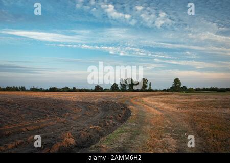 Bodenstraße neben einem gepflügten Feld, Wolken am Abendhimmel Stockfoto