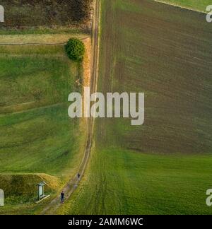 Droneception Bild eines Mannes, der einen Baum im Stil der Inception Ansicht beobachtet. Stockfoto