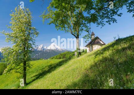 Die Kirchleitner Kapelle am Mitterweinfeld hoch über Berchtesgaden mit dem mächtigen Watzmann im Hintergrund im üppig grünen Frühsommer, Berchtesgadener Land [automatisierte Übersetzung] Stockfoto