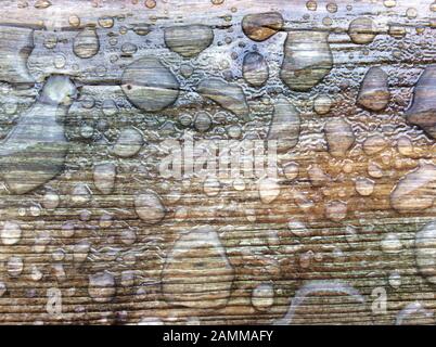 Wassertropfen auf verwittertem Holzbrett abweisend durch Lack [automatisierte Übersetzung] Stockfoto