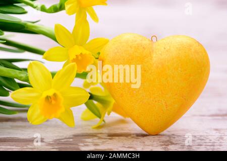 Narzissen mit Herz als Begrüßung zu Ostern [automatisierte Übersetzung] Stockfoto