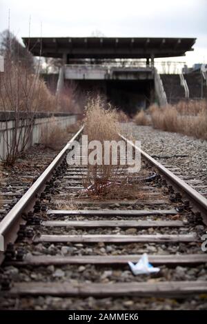 Der alte S-Bahnhof Olympiastadion westlich des Olympiaparks bei Oberwiesenfeld wurde 1988 vom S-Bahn-Netz genommen und 1992 komplett aufgegeben. Inzwischen beherbergt das Gebiet ein Biotop. [Automatisierte Übersetzung] Stockfoto