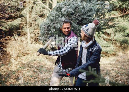 Vater und Sohn tragen frischen Weihnachtsbaum Stockfoto