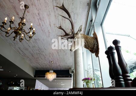 Hirschgeweihschmuck im Restaurant "Neobrasserie Hoiz" in der Karlstraße 10 [automatisierte Übersetzung] Stockfoto