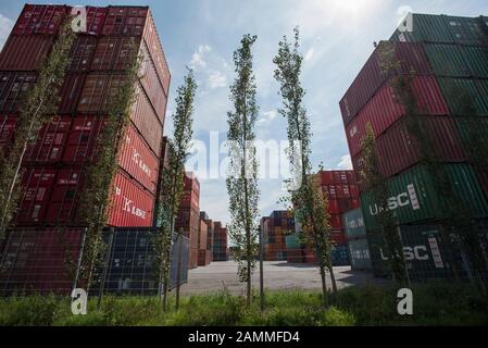 Containerstation der Deutschen Umschlaggesellschaft Schiene-Straße mbH der Deutschen Bahn am östlichen Stadtrand von München in Riem. [Automatisierte Übersetzung] Stockfoto