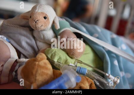 Ein krankes Baby liegt mit seinem kuscheligen Spielzeug auf einem Ventilator im Hauner Kinderkrankenhaus in München. [Automatisierte Übersetzung] Stockfoto