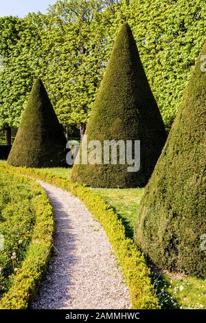 Ein Parterre in einem französischen Garten, mit Eiben in konischer Form entlang einer weißen Kies weg geschnitten. Stockfoto