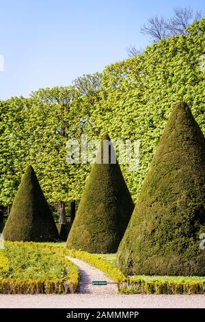 Ein Parterre in einem französischen Garten, mit Eiben in konischer Form entlang einer weißen Kies weg geschnitten. Stockfoto